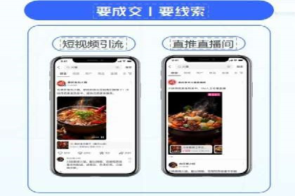 谷歌竞价广告与SEO结合的营销案例解析